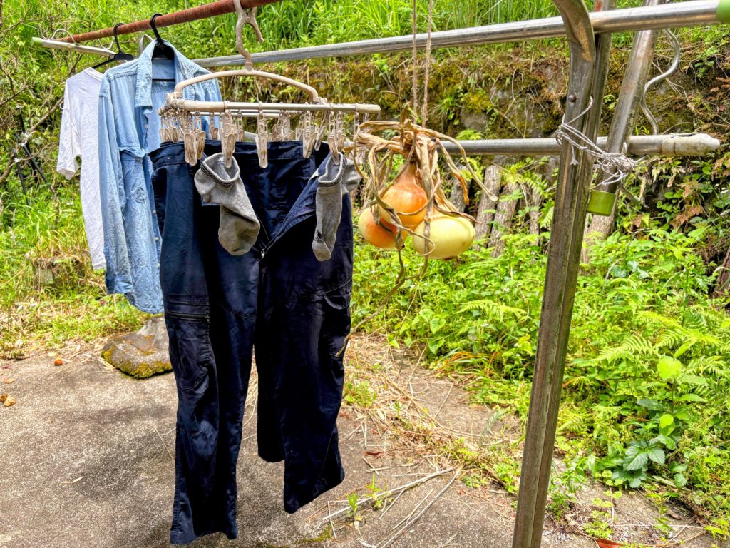 IMG_3094-EDIT-1-1024x768 ジャガイモの収穫開始