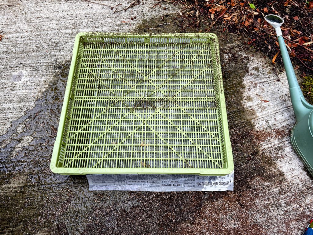 IMG_3212-EDIT-1024x768 丹波黒大豆の種まき