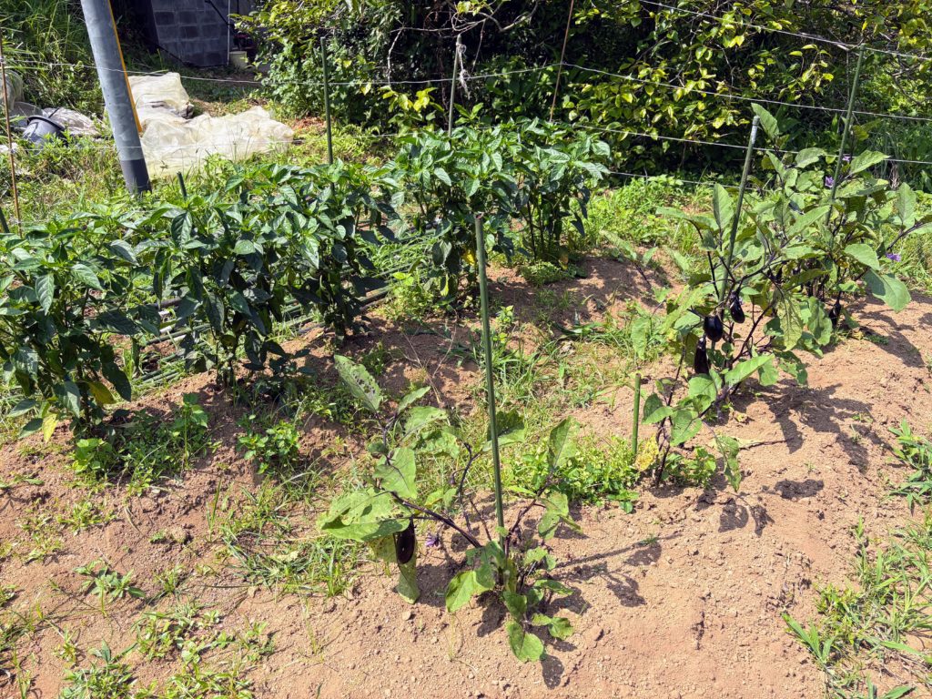 IMG_3262-1024x768 侘び・寂び・幽玄