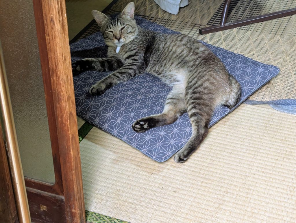 PXL_20250630_041205997.MP_-1024x771 侘び・寂び・幽玄