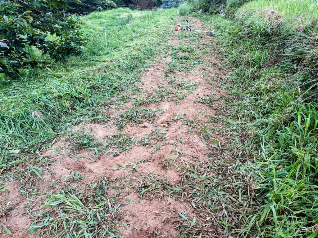 IMG_3312-EDIT-1024x768 毎日、草刈りです。