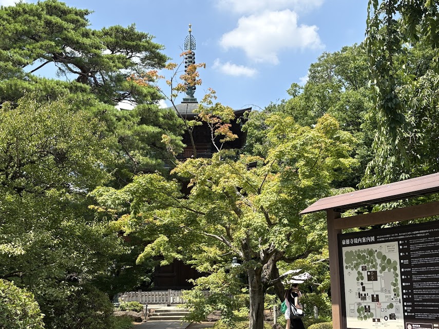 IMG_3558 明日、伊豆修善寺へ帰ります。