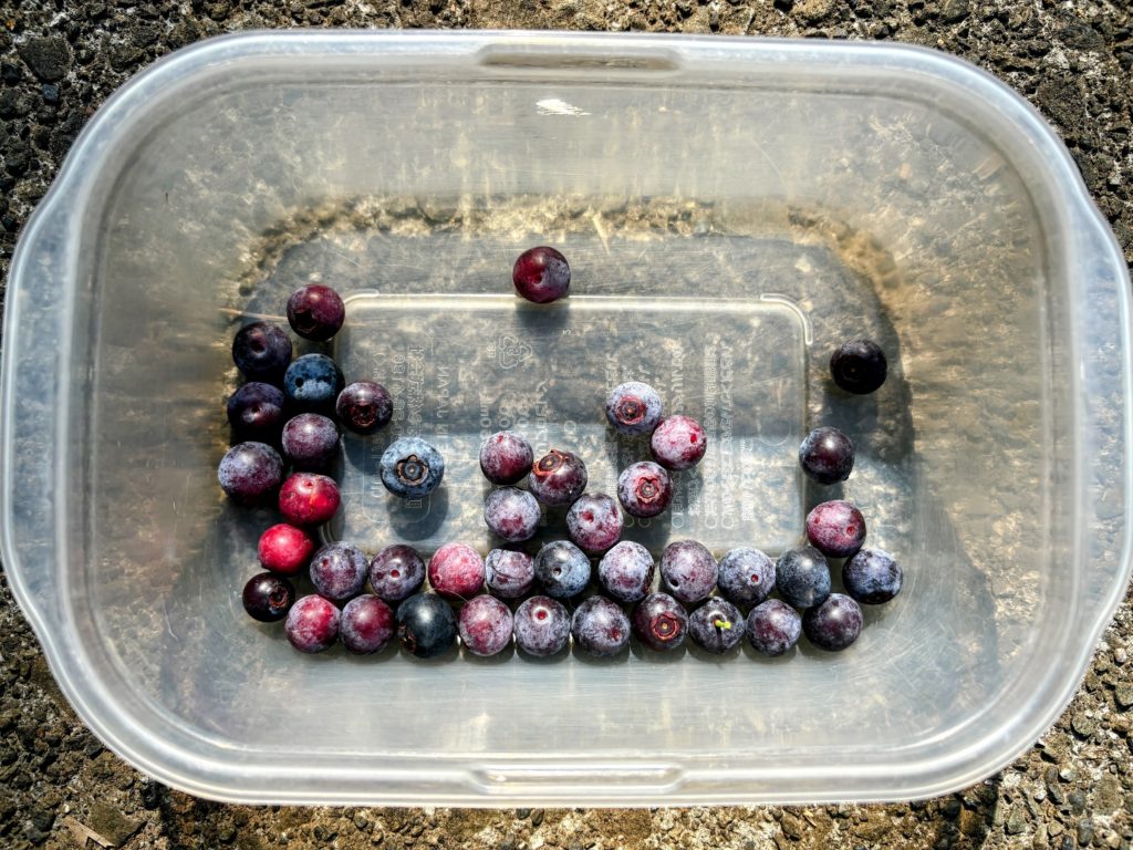 IMG_3619-EDIT-1024x768 ものの哀れ