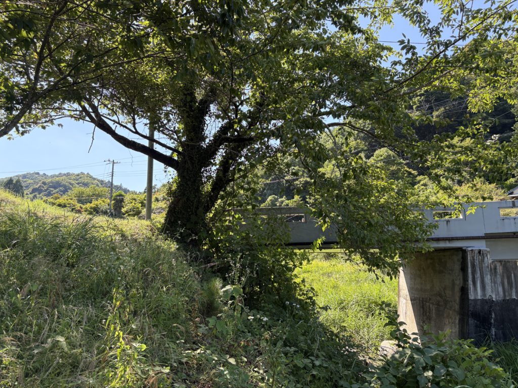 IMG_3626-1024x768 鈴木大拙