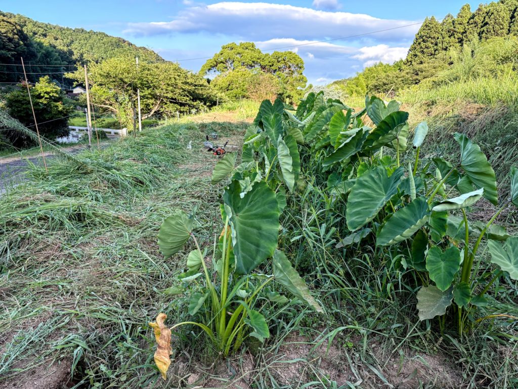 IMG_3628-EDIT-1024x768 鈴木大拙