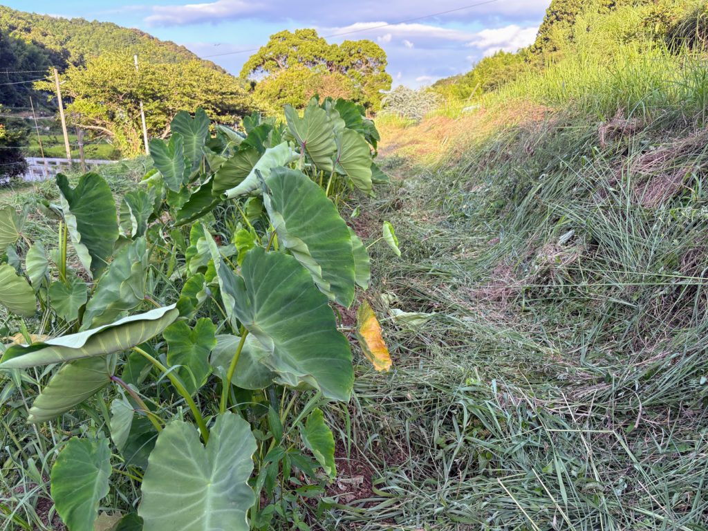 IMG_3629-1024x768 鈴木大拙