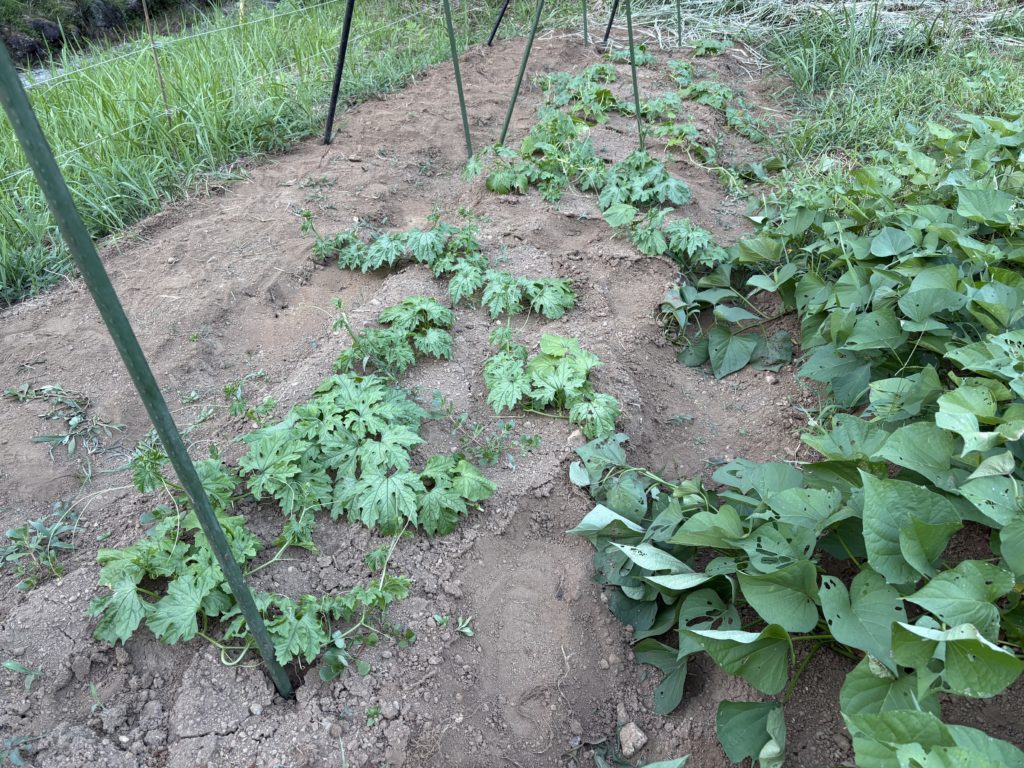 IMG_3659-1024x768 葛飾北斎