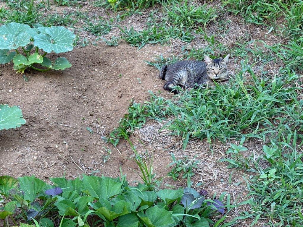 IMG_3663-1024x768 葛飾北斎