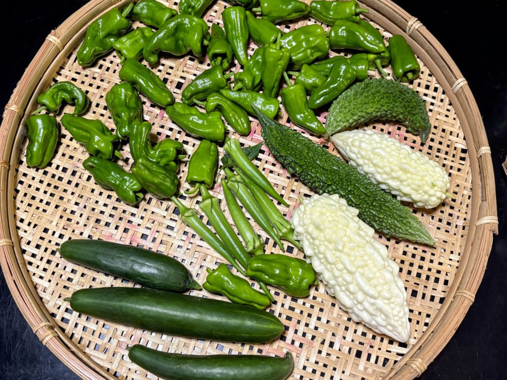 IMG_3692-EDIT-1024x768 西瓜＆メロン（ころたん）の収穫