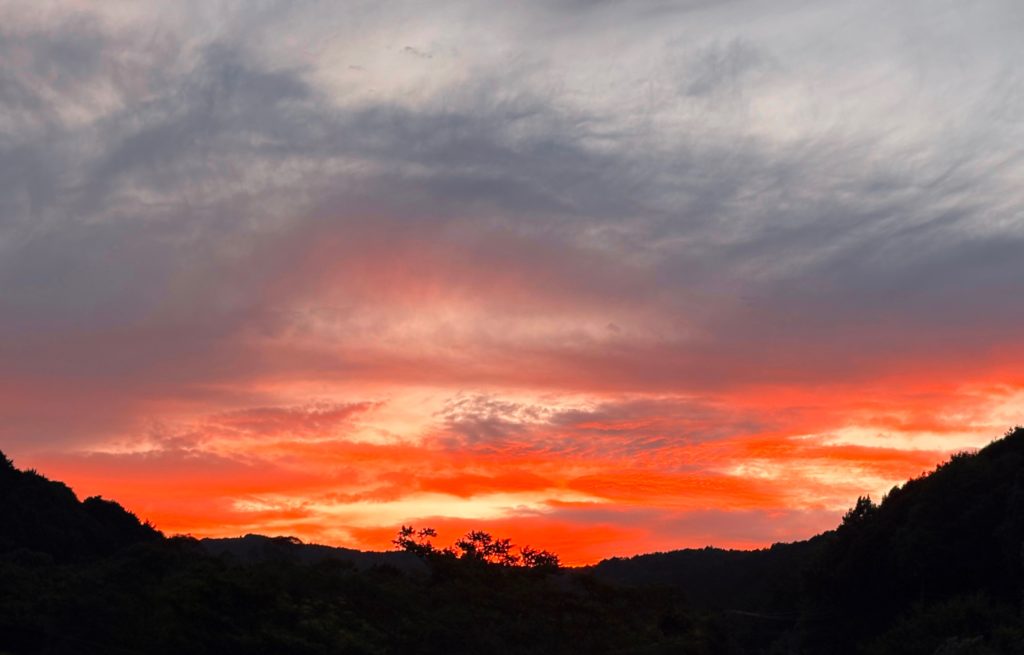 IMG_3713-EDIT-1024x655 立秋