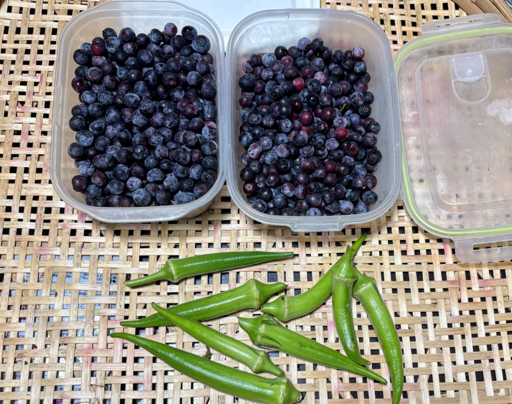 IMG_3737-EDIT-1024x809 待望の雨