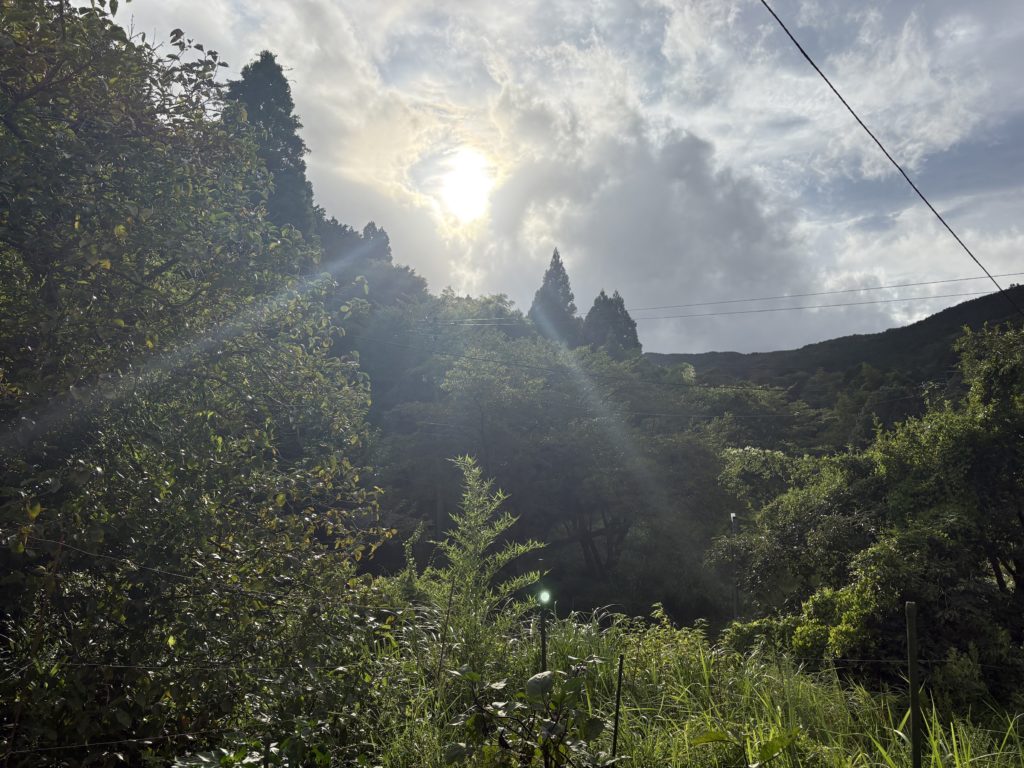 IMG_3749-1024x768 やっと雨が止みました。