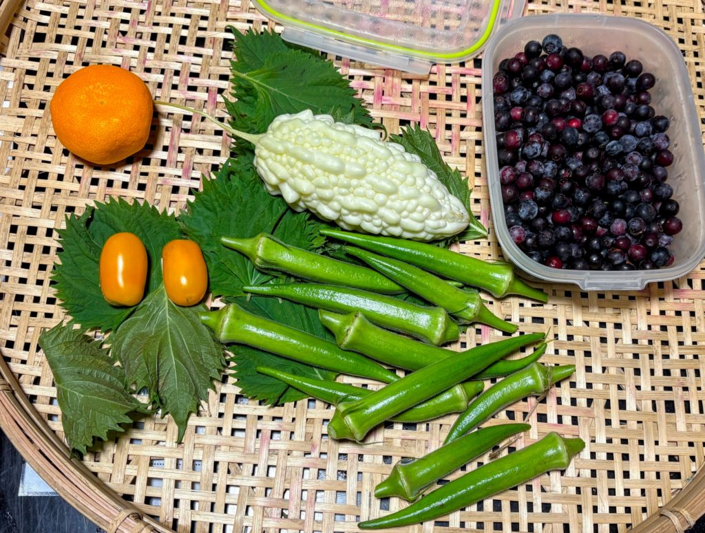 IMG_3756-EDIT-1024x775 やっと雨が止みました。