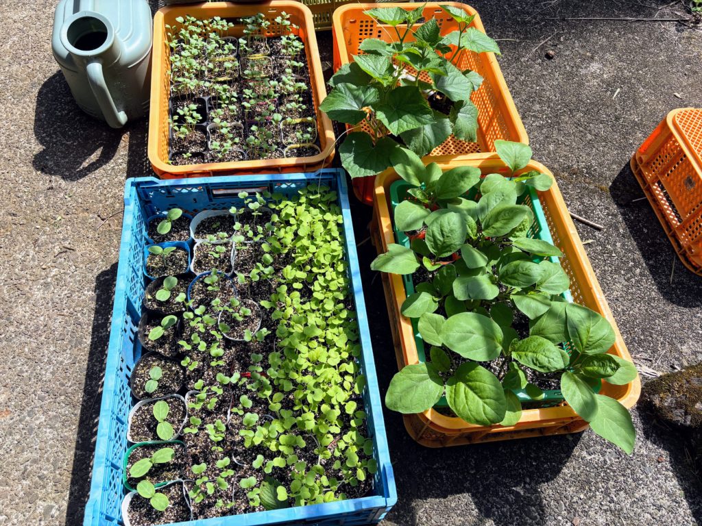 IMG_3758-1-1024x768 盆休み