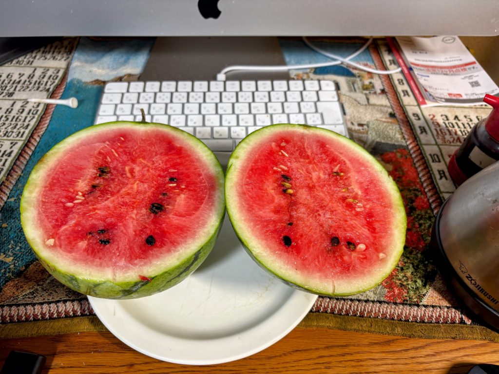 IMG_3762-EDIT-1024x768 盆休み