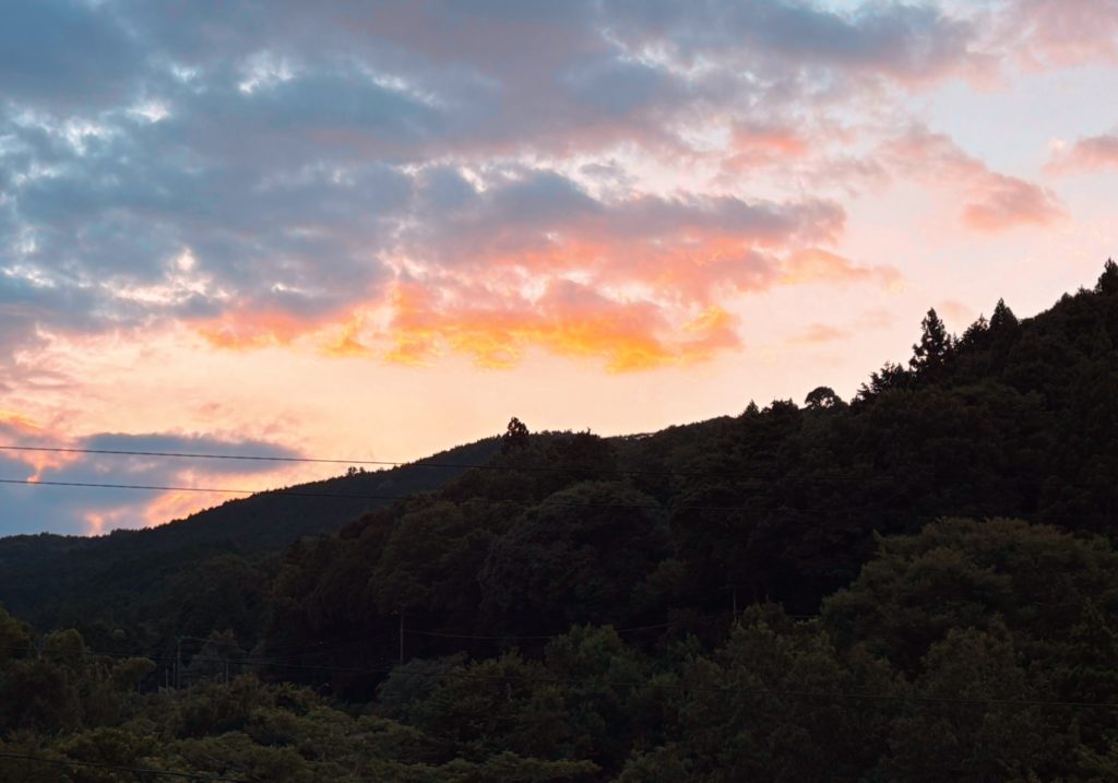 IMG_3783-EDIT-1-1024x717 日経平均株価史上最高値