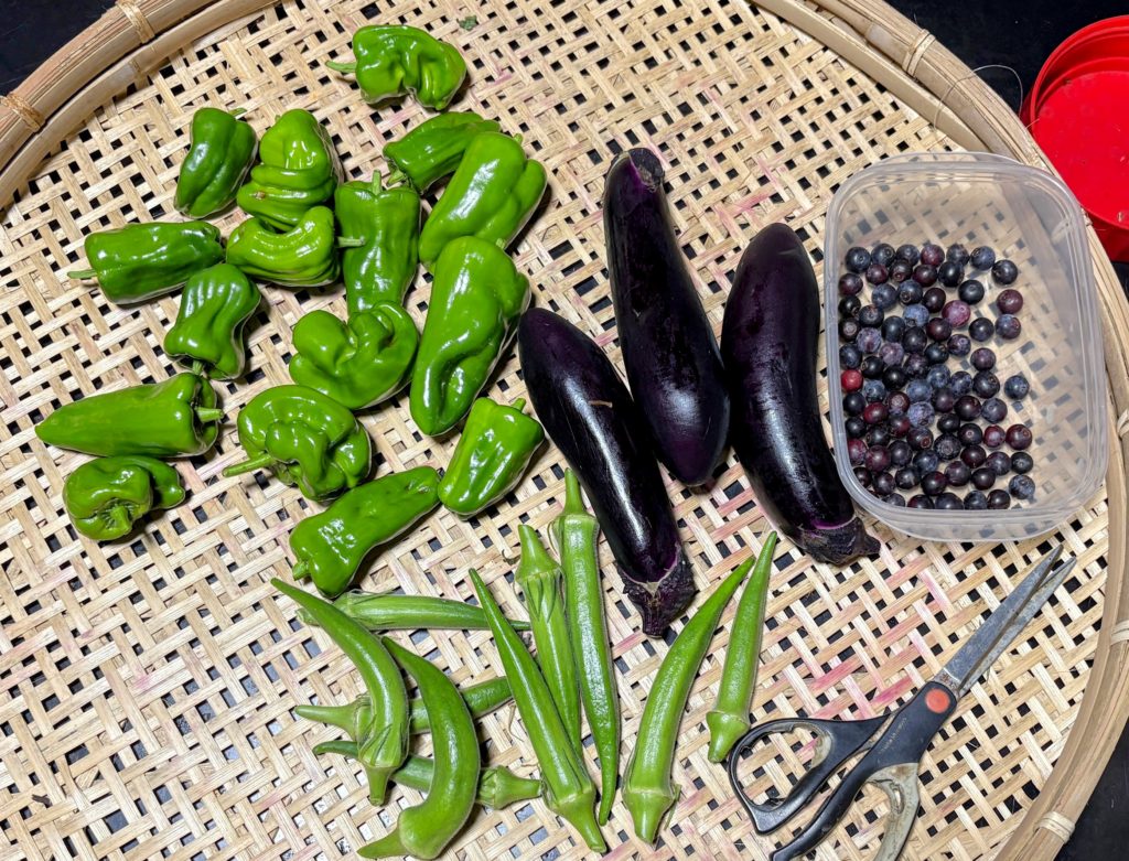 IMG_3785-EDIT-1024x781 日経平均株価史上最高値