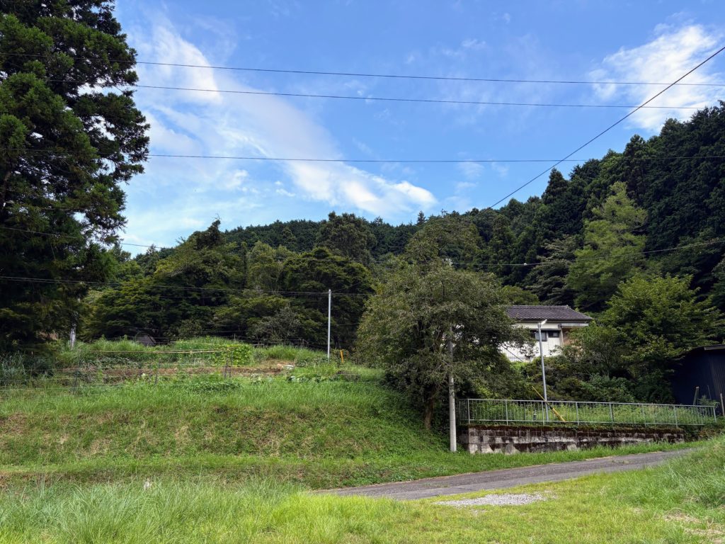 IMG_3820-1024x768 鬼滅の刃・ 感動の田んぼアート