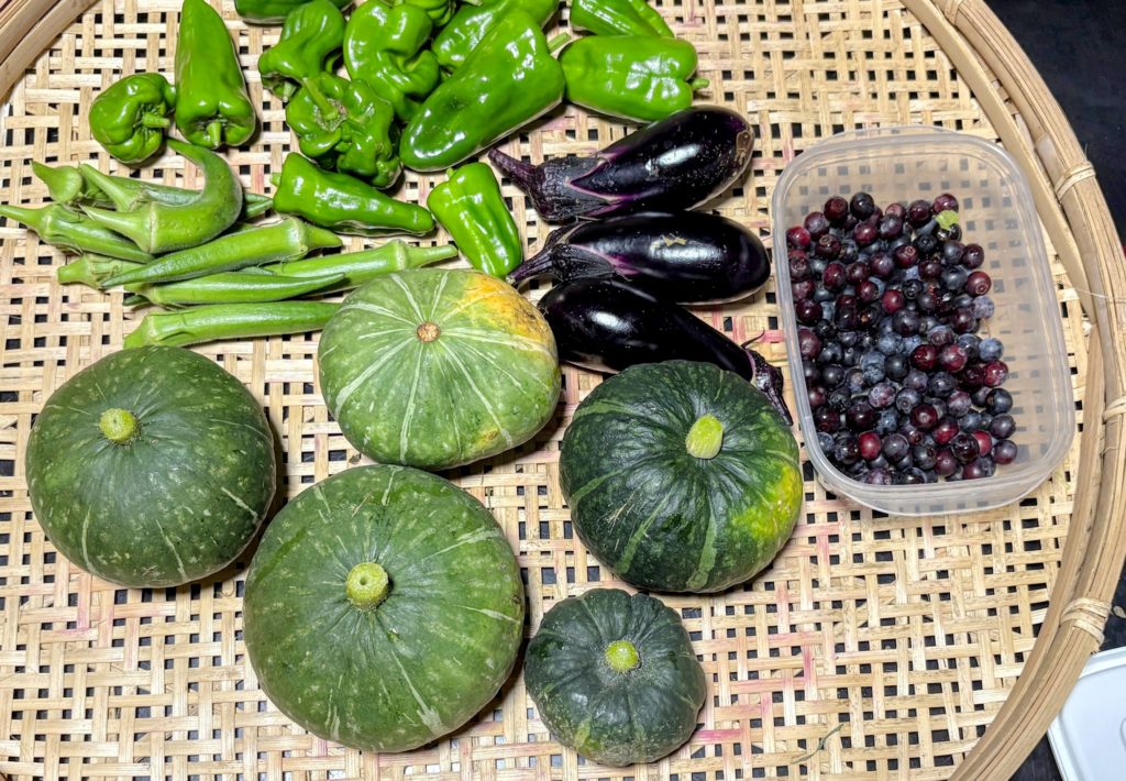 IMG_3826-EDIT-1024x710 鬼滅の刃・ 感動の田んぼアート