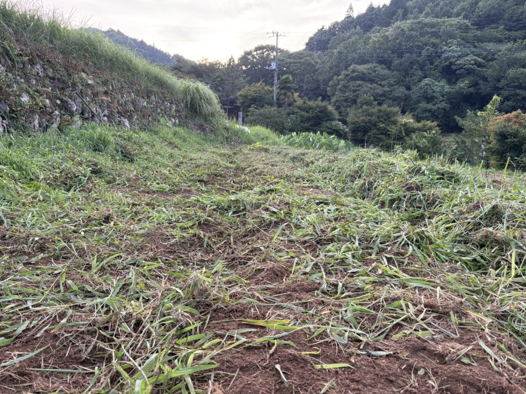 IMG_3837-1024x768 今日もクソ暑い中で草との戦い