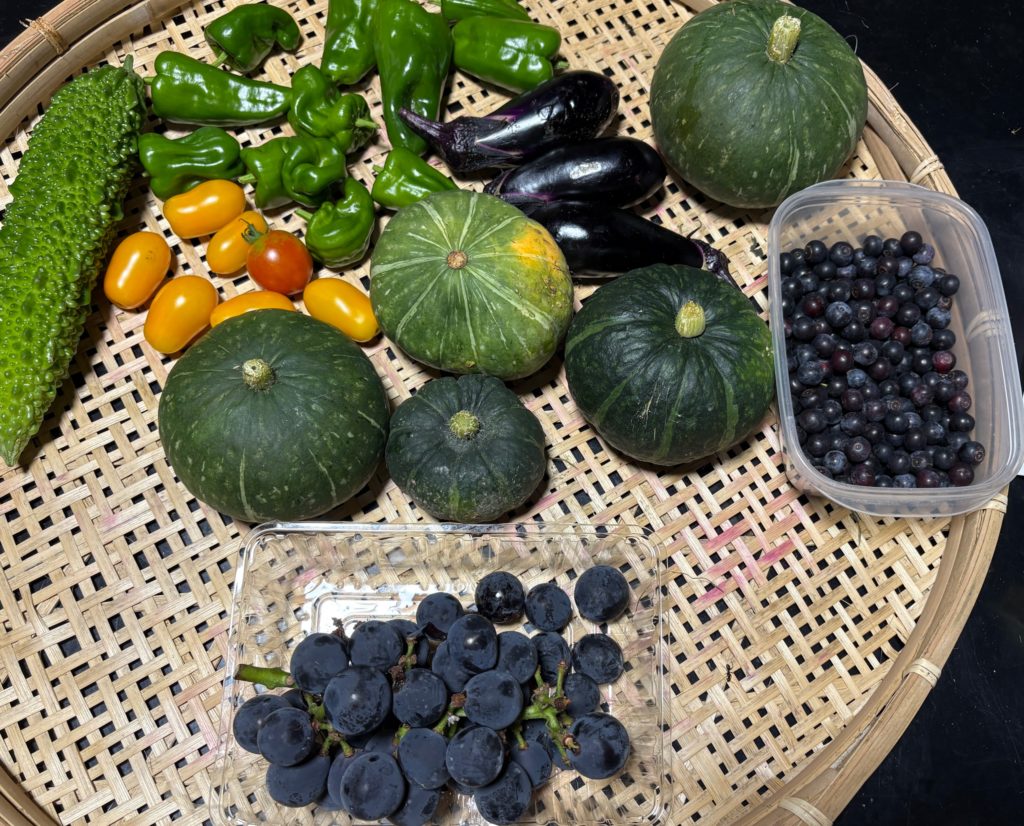 IMG_3838-1024x826 今日もクソ暑い中で草との戦い