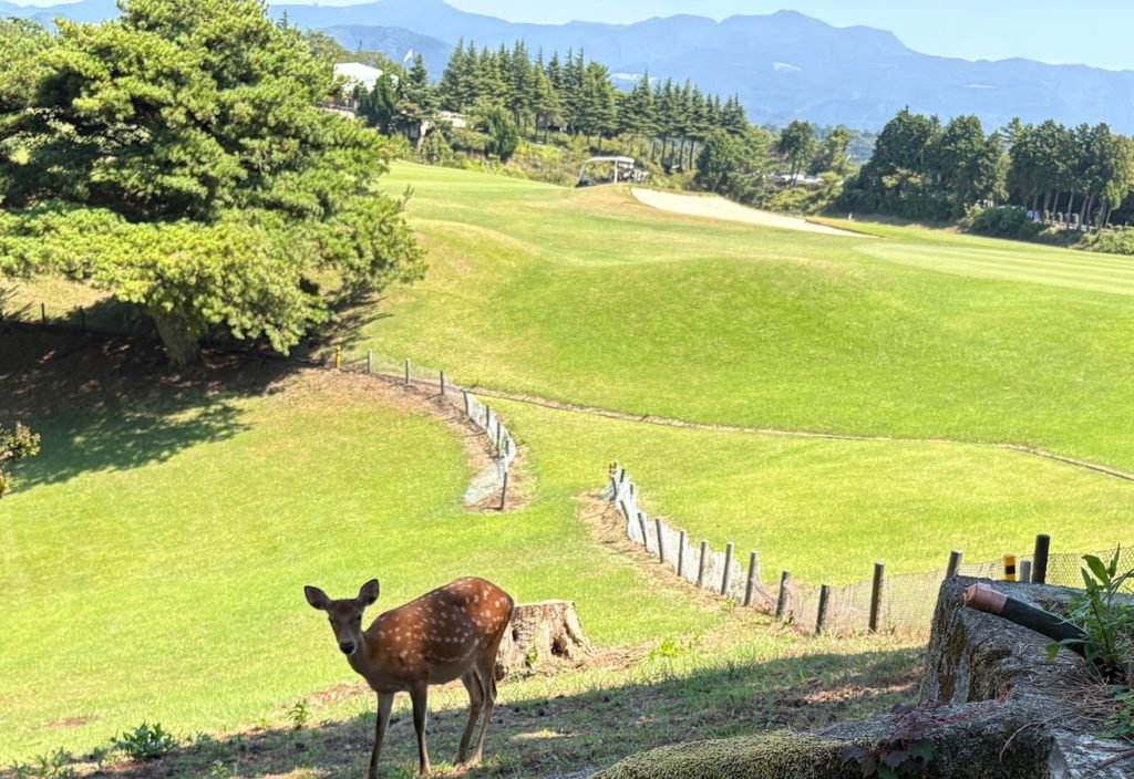 IMG_3842-1024x704 ８月期愛好会