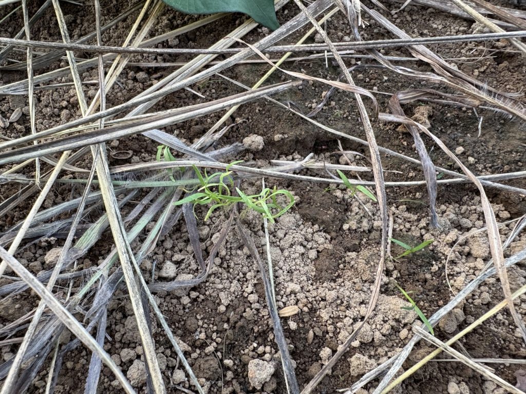 IMG_3853-1024x768 本日、修禅寺ベースへ太郎と一緒に戻った