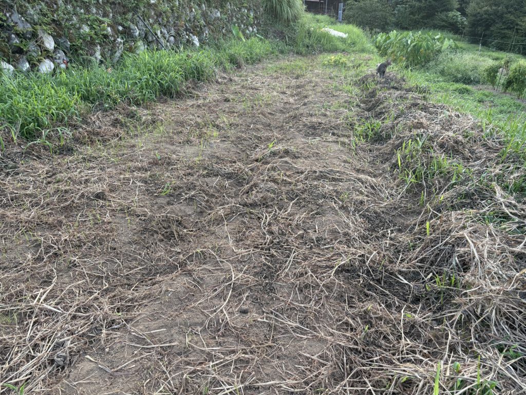 IMG_3858-1024x768 本日、修禅寺ベースへ太郎と一緒に戻った