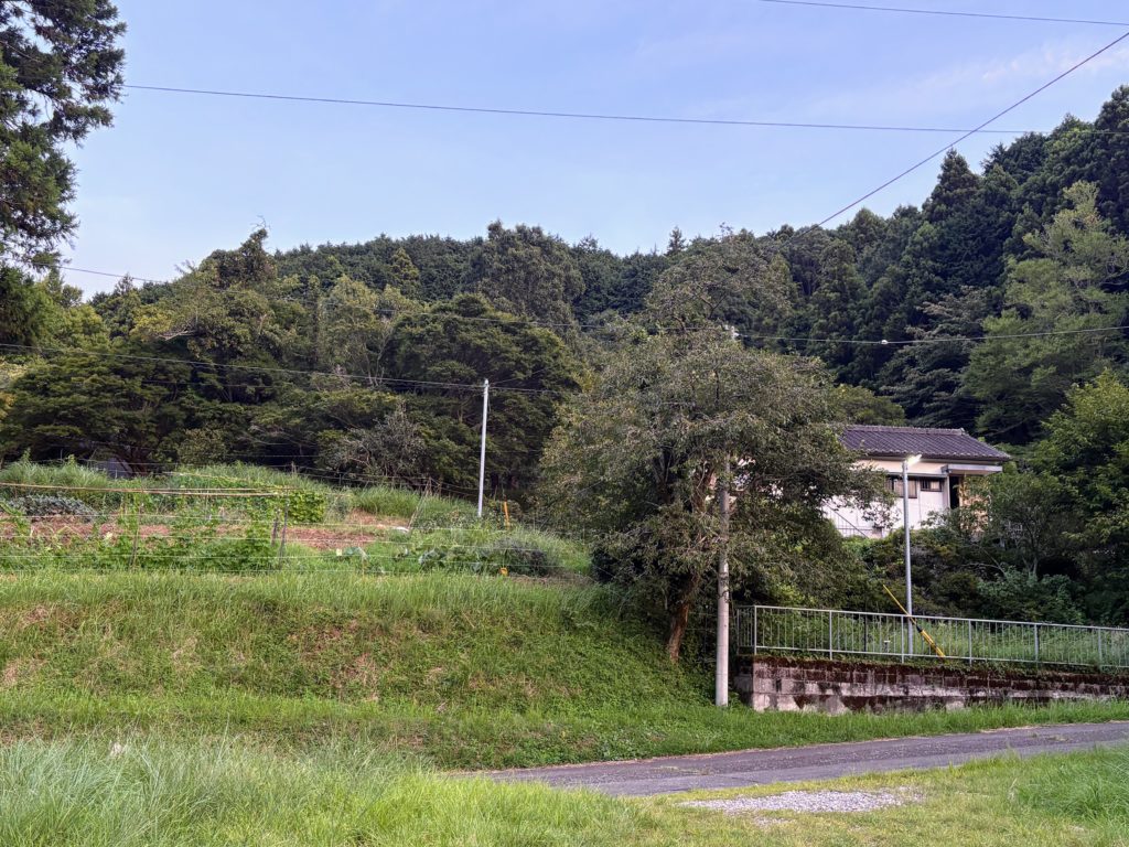 IMG_3867-1024x768 本日、修禅寺ベースへ太郎と一緒に戻った