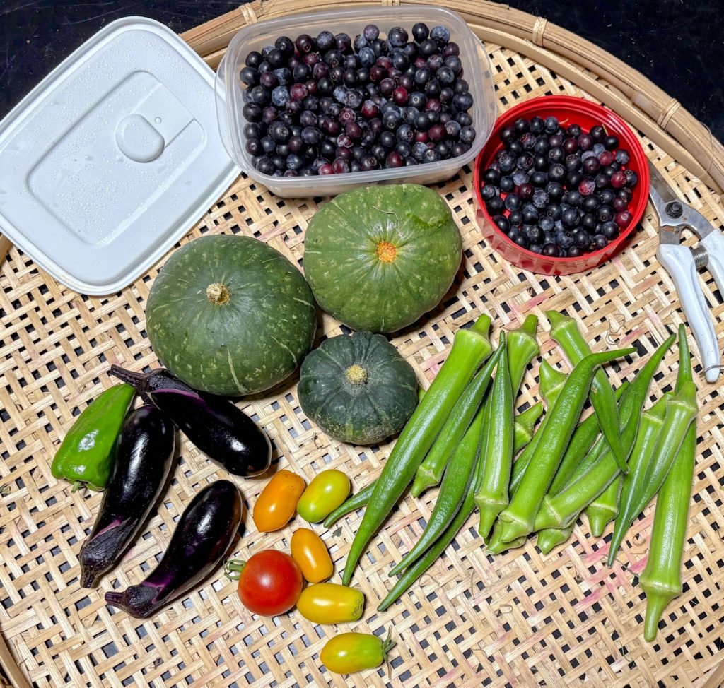 IMG_3872-EDIT-1024x974 本日、修禅寺ベースへ太郎と一緒に戻った