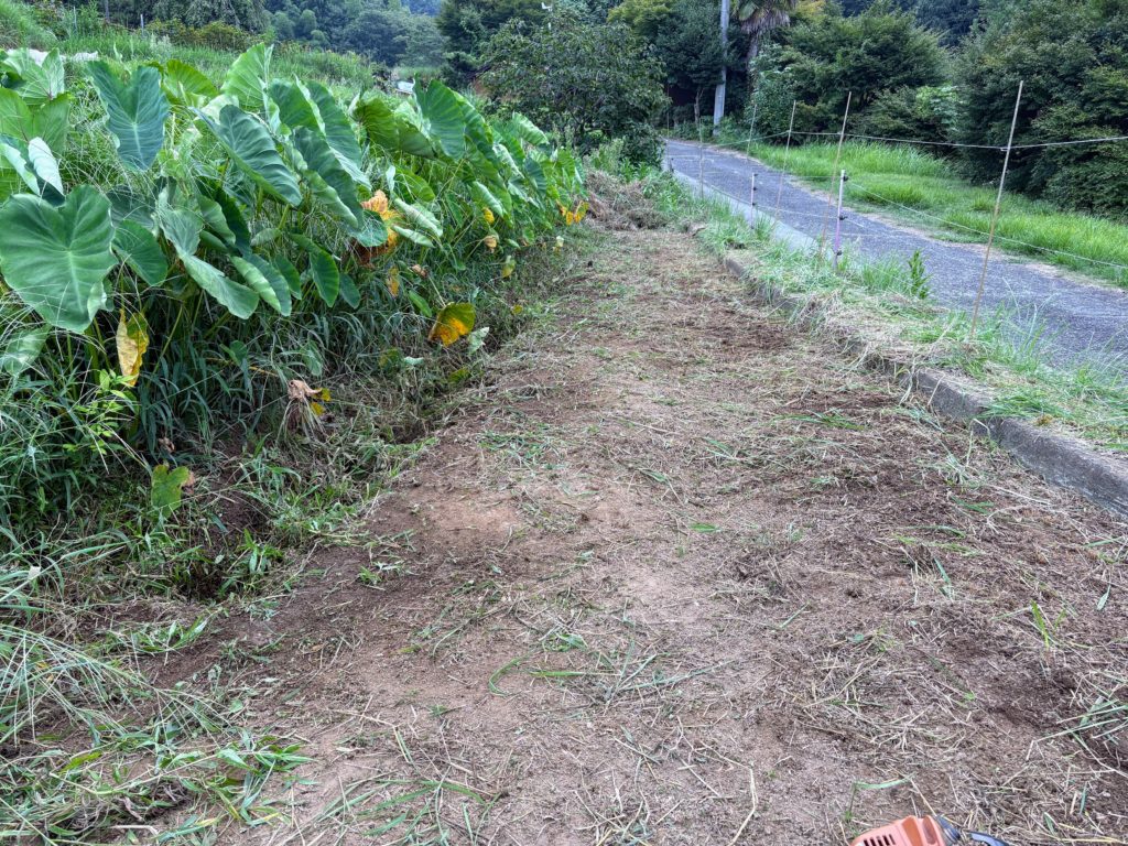 IMG_3903-1024x768 越中八尾おわら風の盆