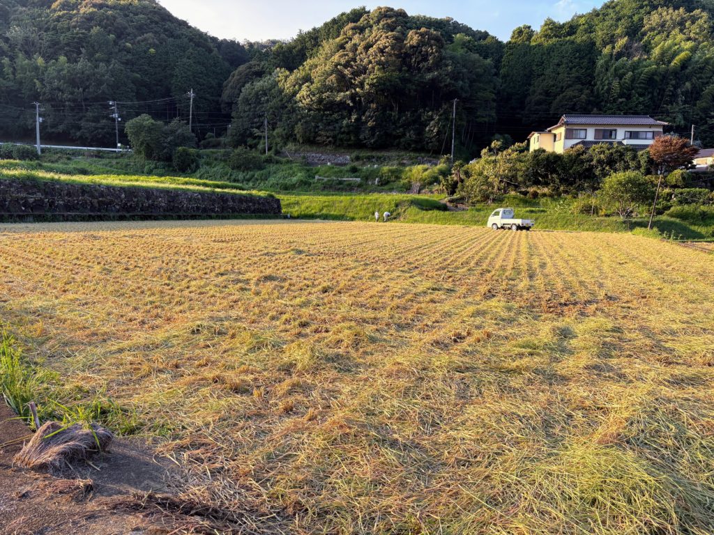 IMG_3943-1024x768 稲刈り完了