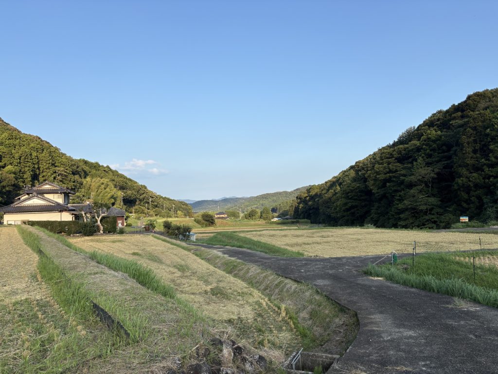 IMG_3947-1024x768 稲刈り完了