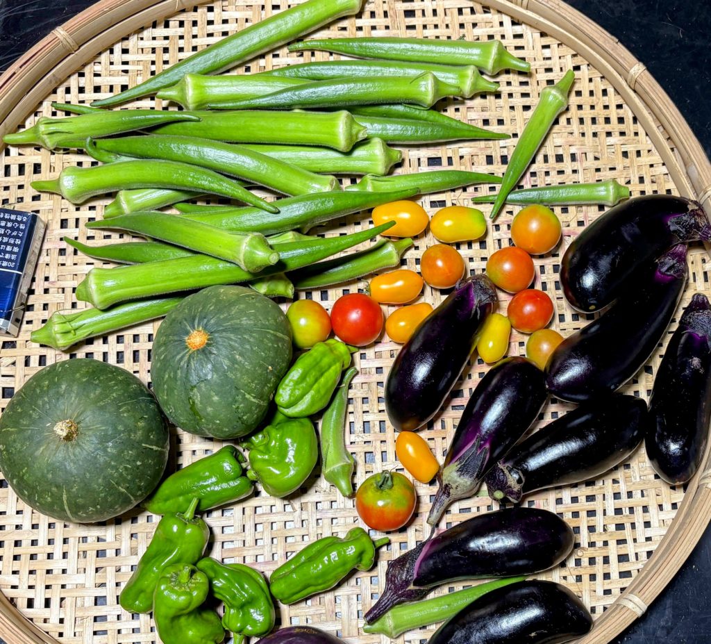 IMG_3953-EDIT-1024x927 稲刈り完了