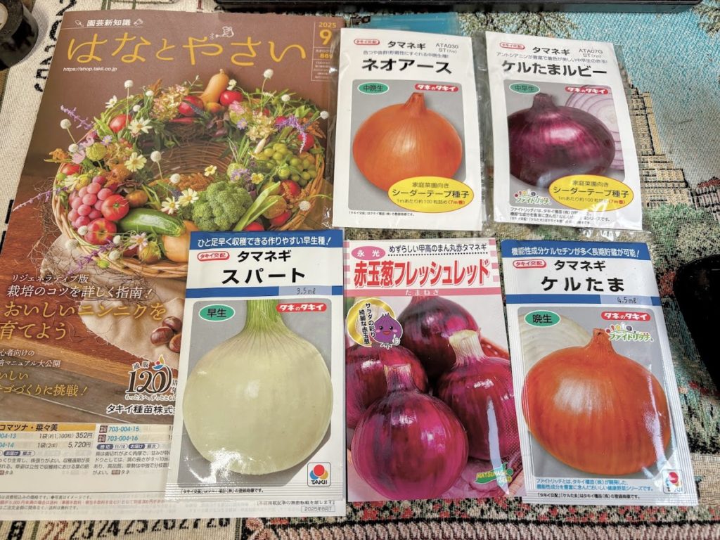 IMG_3960-EDIT-1024x768 夏野菜の定着