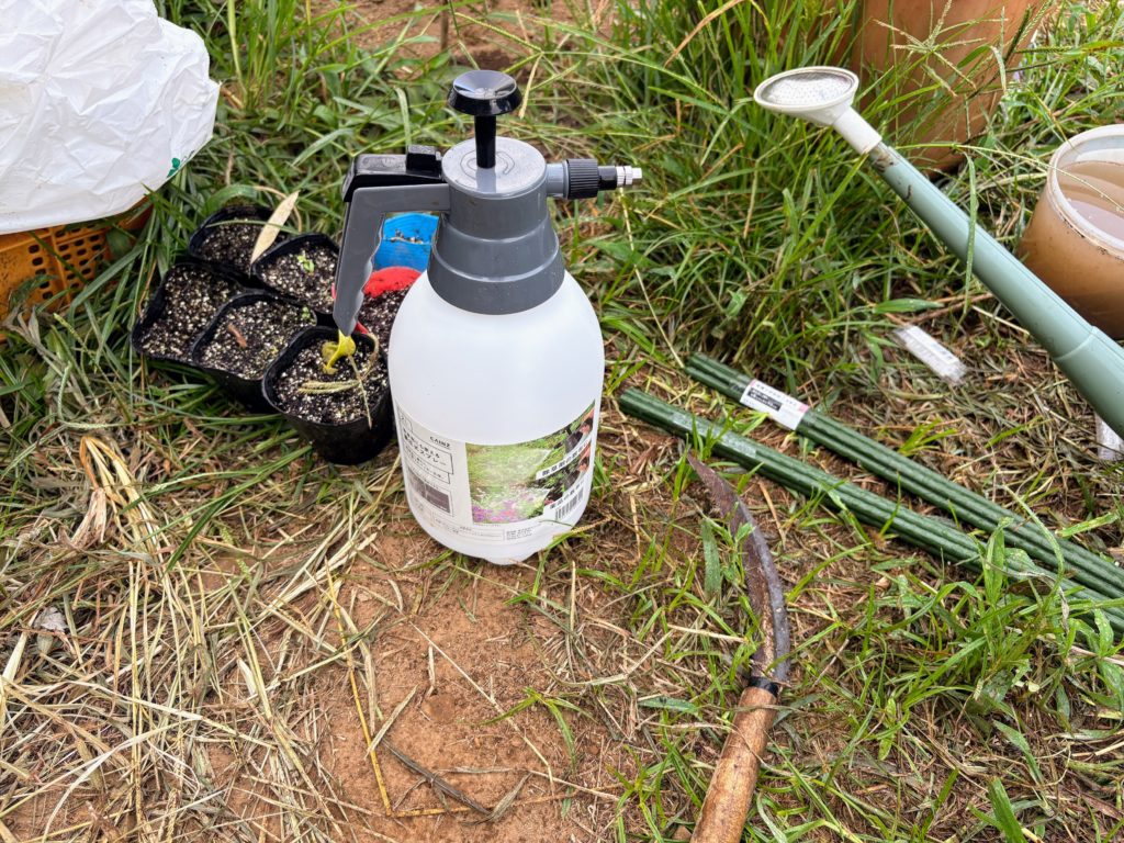 IMG_3967-1024x768 重宝な食器洗剤