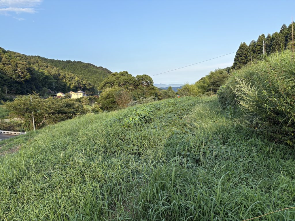 IMG_3971-1024x768 重宝な食器洗剤