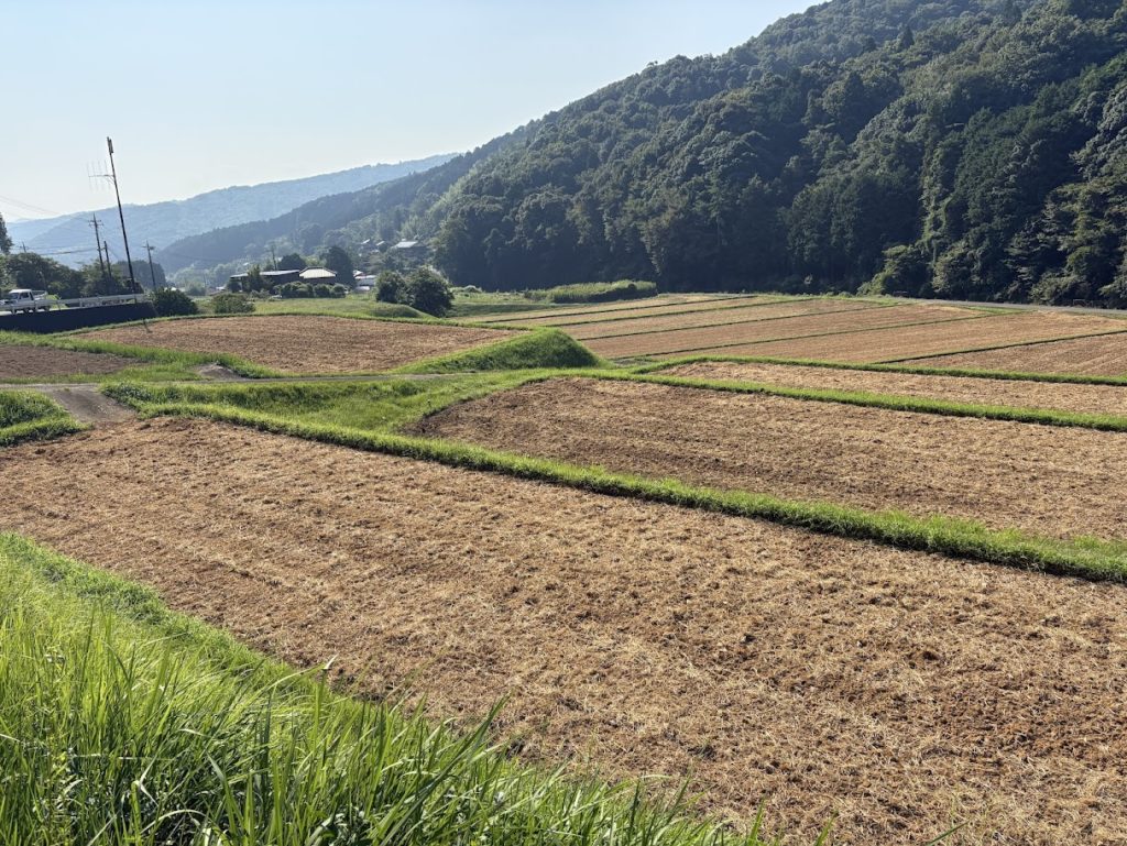 IMG_3979-1024x769 村の防災訓練