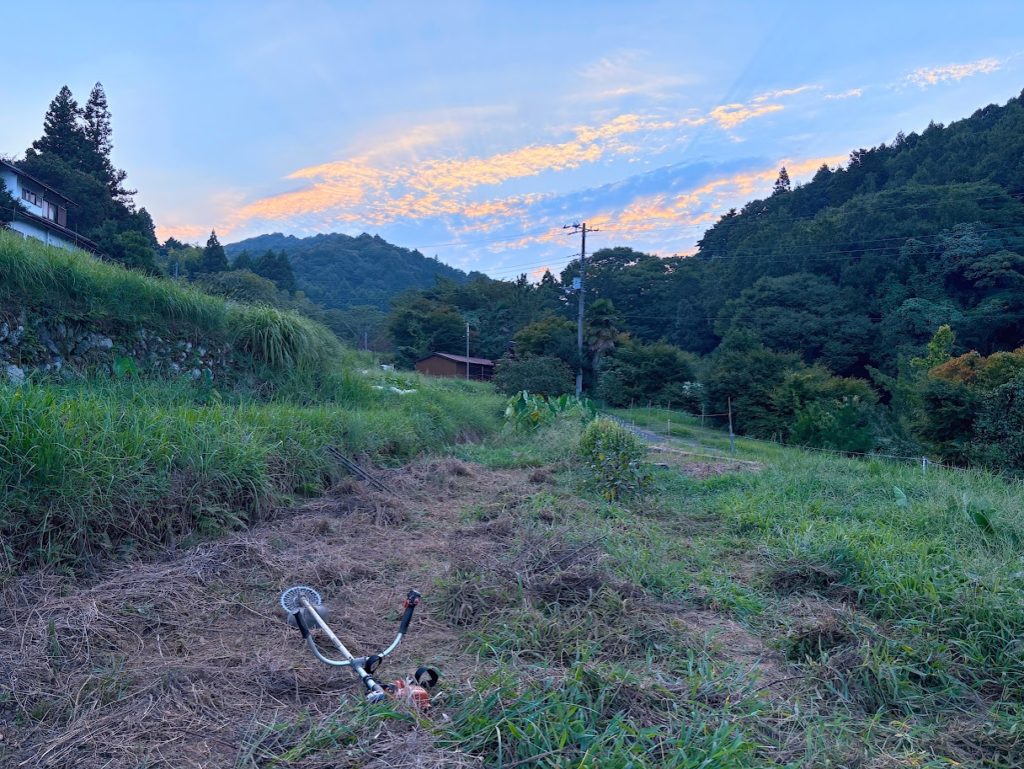 IMG_3989-EDIT-1024x769 棚田の畑の草刈り