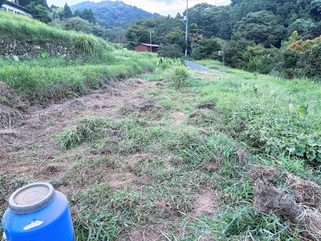 IMG_3990-1024x769 棚田の畑の草刈り