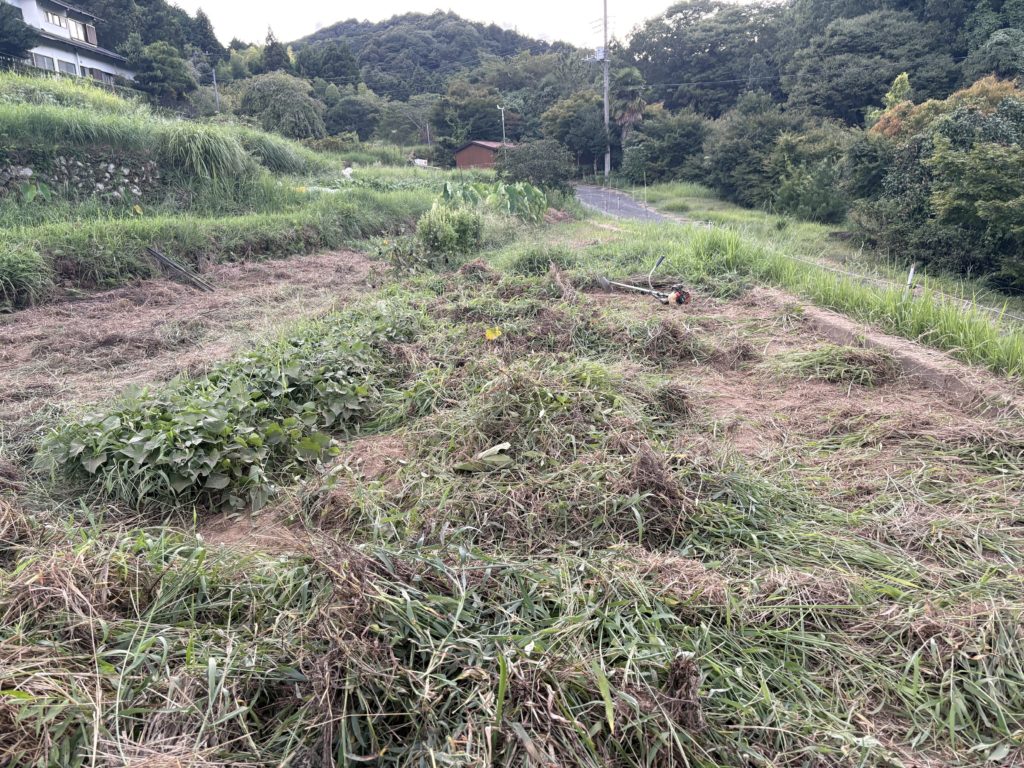 IMG_3995-1024x768 もう9月ですね