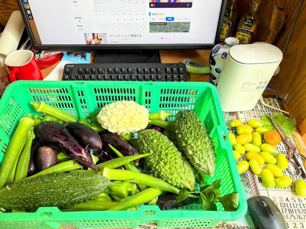 IMG_4022-EDIT-1024x768 台風情報