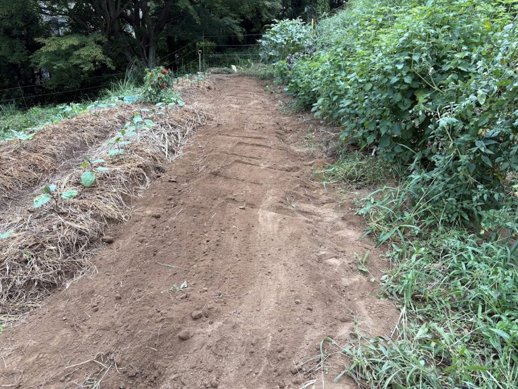 IMG_4037-1024x768 恵みの雨