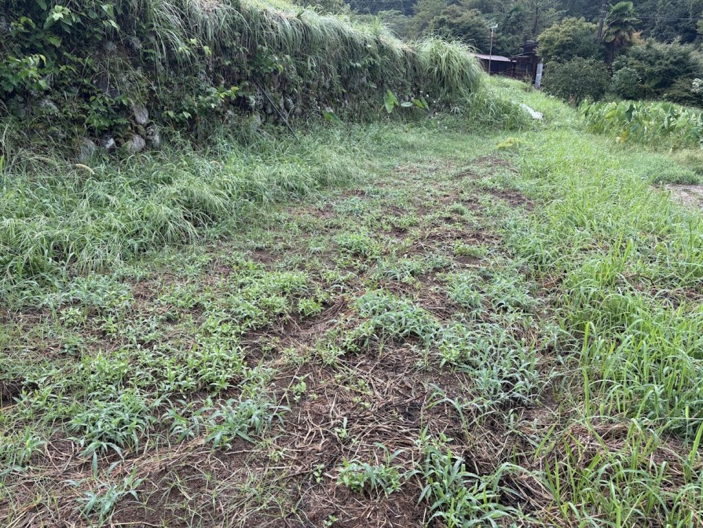 IMG_4067-1024x769 A Very Rainy Day