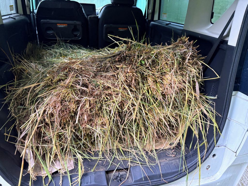 IMG_4080-1024x768 僕も新規就農者になります！