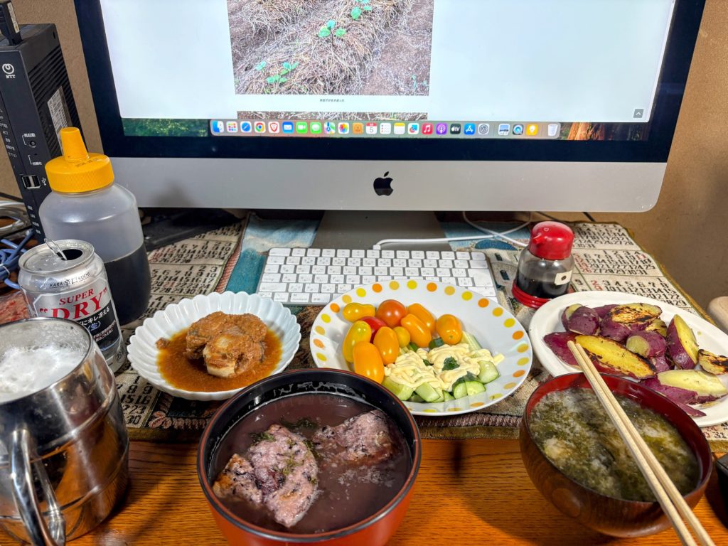 IMG_4085-EDIT-1024x768 僕も新規就農者になります！