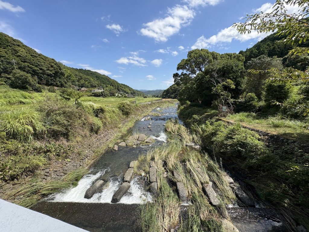 IMG_4105-1024x768 マイコス米