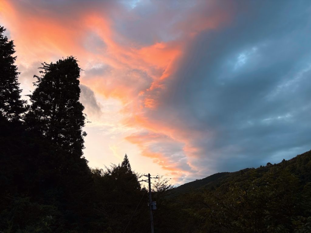 IMG_4106-EDIT-1024x768 マイコス米