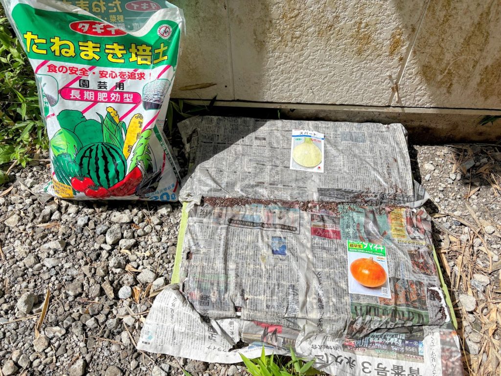 IMG_4111-EDIT-1024x768 早生＆極早生玉葱の播種