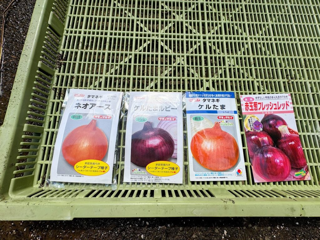 IMG_4113-EDIT-1024x768 早生＆極早生玉葱の播種